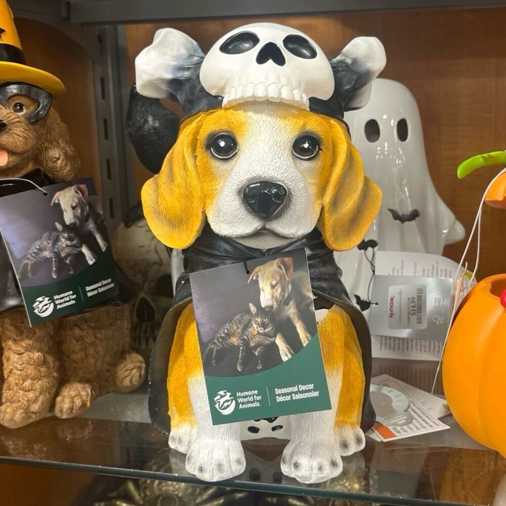 Humane World for Animals Halloween Skeleton Beagle Dog Figurine Decor